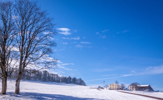 Ferme Bellevue
