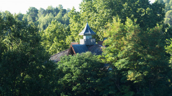 Ferme dans les arbres