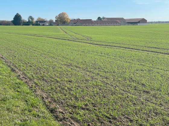 Ferme de Montgazon