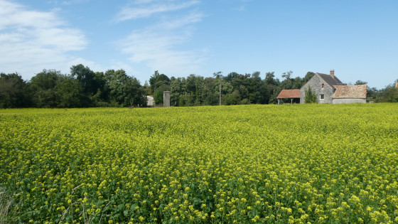 Ferme de Noisement