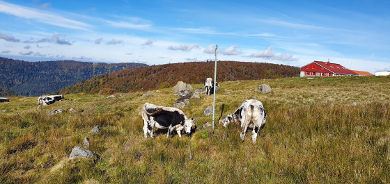 Ferme du Firsmiss