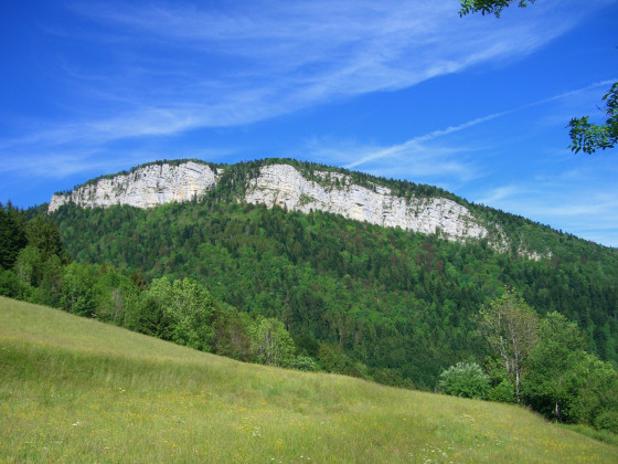 Ferme du Riondet