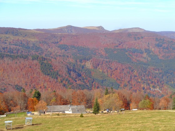 Ferme du Salzbach
