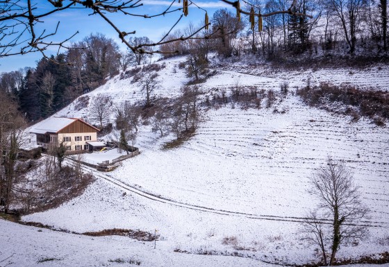 Ferme du Vâ Ferme du Vâ