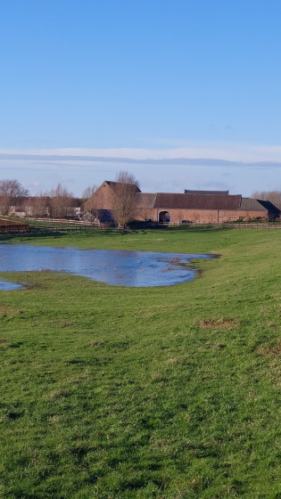 Ferme équestre