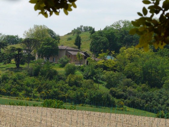 Ferme rénovée