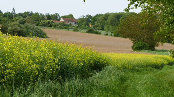 Ferme Saint Laurent - Brueil-en-Vexin