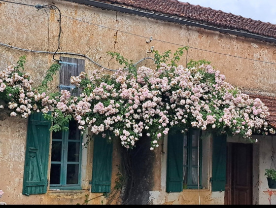 Ferme typique