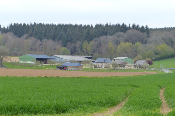 Ferme