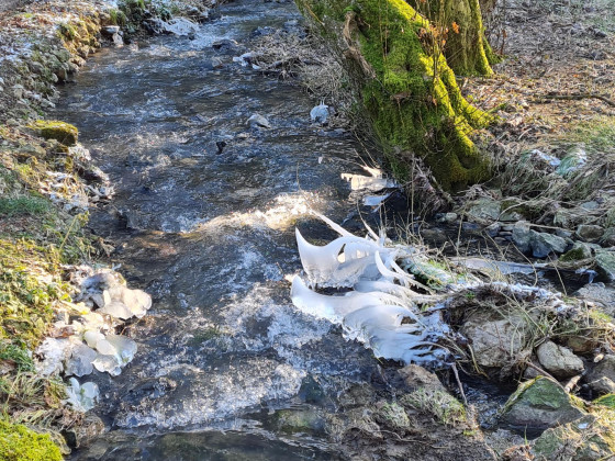 Figures gelées sur le Ruisseau de Samart