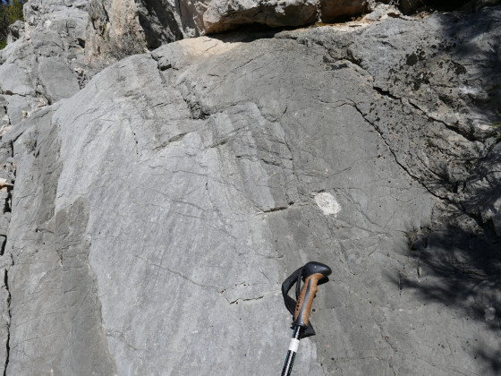Figures sédimentologiques