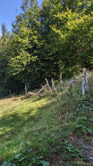 fin de la côture, début du petit sentier en descente sur la gauche