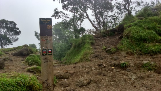 Fin de la mont&eacute;e