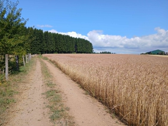 fin du chemin 6