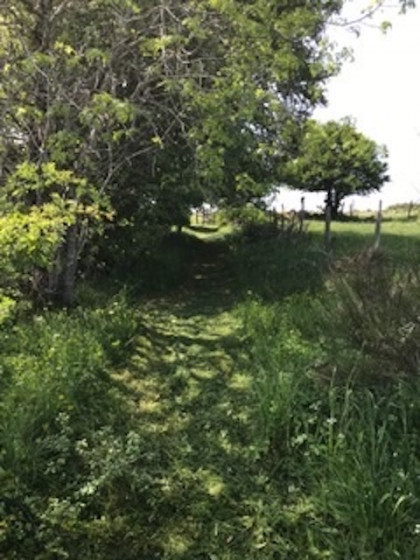 Fin du chemin creux