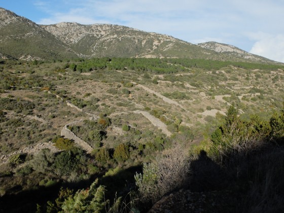 Flanc de coteau