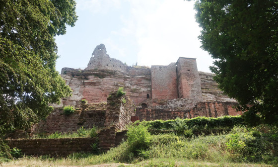 Fleckenstein