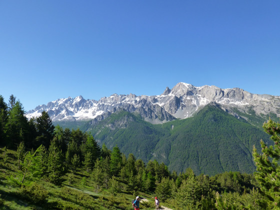 Fonctsante