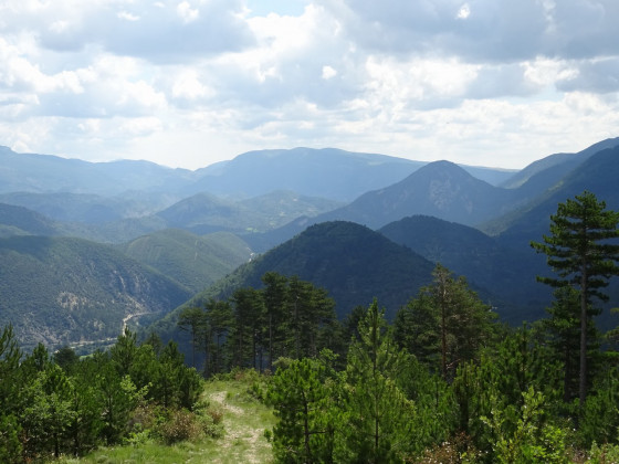Fond de la Vallée du Toulourenc