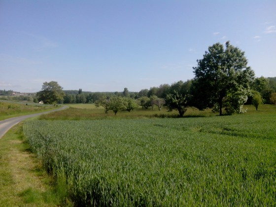 Fond de vallée