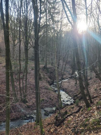Fond des Trois Bois