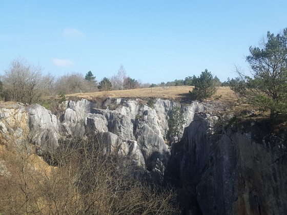 Fondry des Chiens