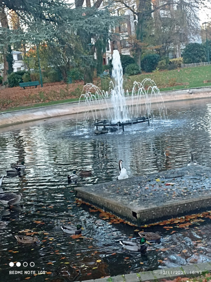fontaine dans le parc
