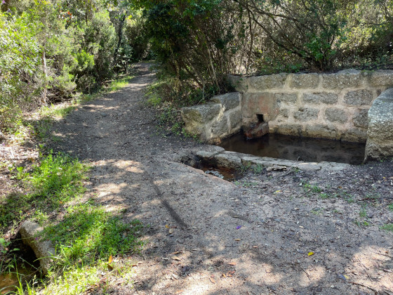 Fontaine de Bruno