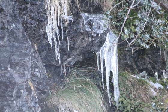 Fontaine de la Digitale (1250m)