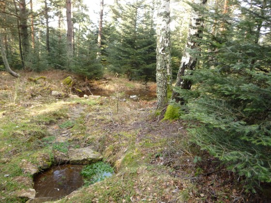 Source Fontauvert