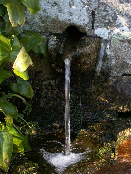 Fontaine intérieure