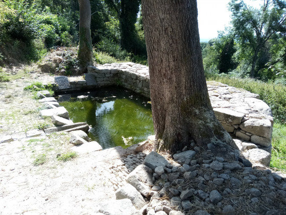 Fontaine-lavoir d'hiver (Toulx-Sainte-Croix)