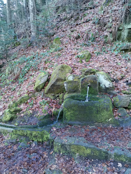 Fontaine Lucie