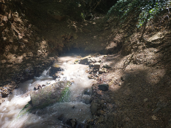 fontaine salée