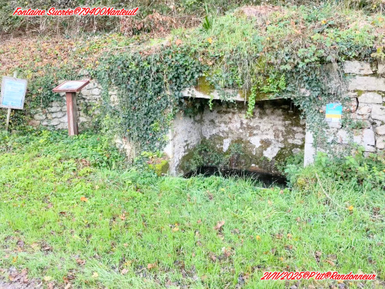Fontaine sucrée