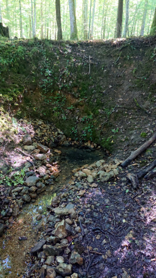 Fontaine Vernoue (Source Saint-Ange)