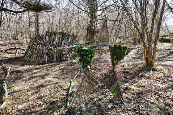 Forest Art...
