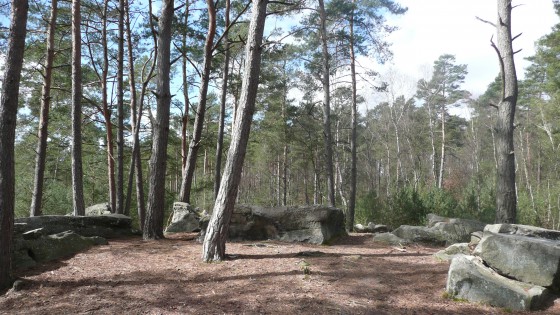 forêt d\'Ermenonville