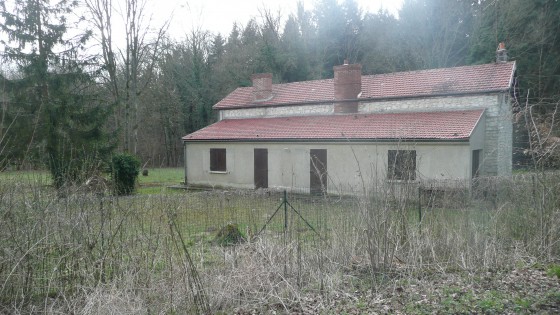 forêt d\'Ermenonville