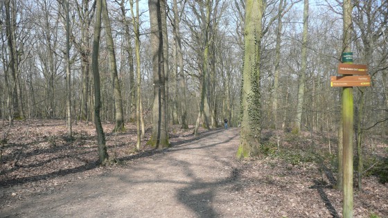 Forêt de Bondy