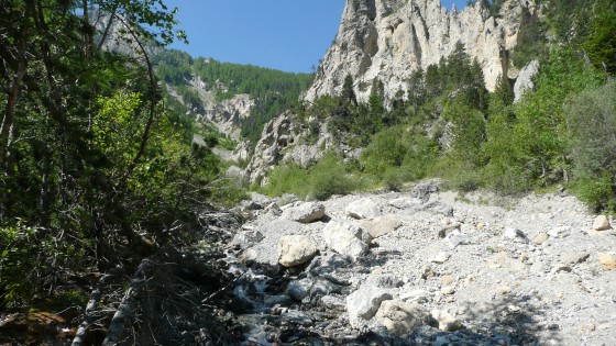 Forêt de Boscodon