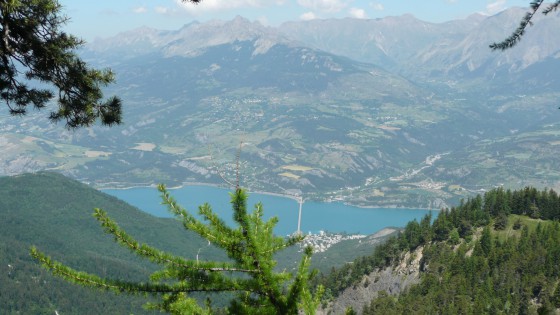Forêt de Boscodon