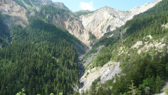 Forêt de Boscodon