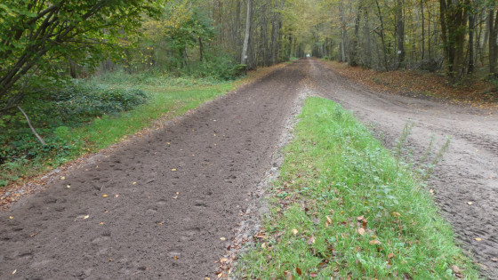 Forêt de Chantilly