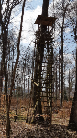 Foret de Eichwald - observatoire