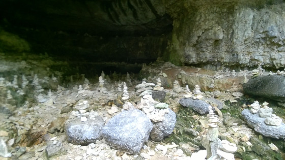 Forêt de kairns