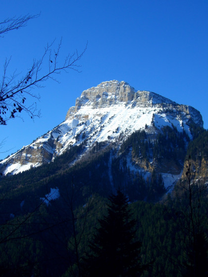 Forêt de l’Ocèpé