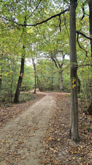 For&ecirc;t de la Grange
