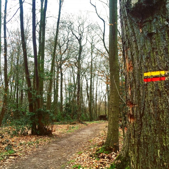 Foret de Marly-louveciennes