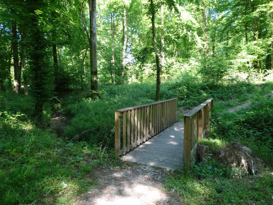 For&ecirc;t de Mormal